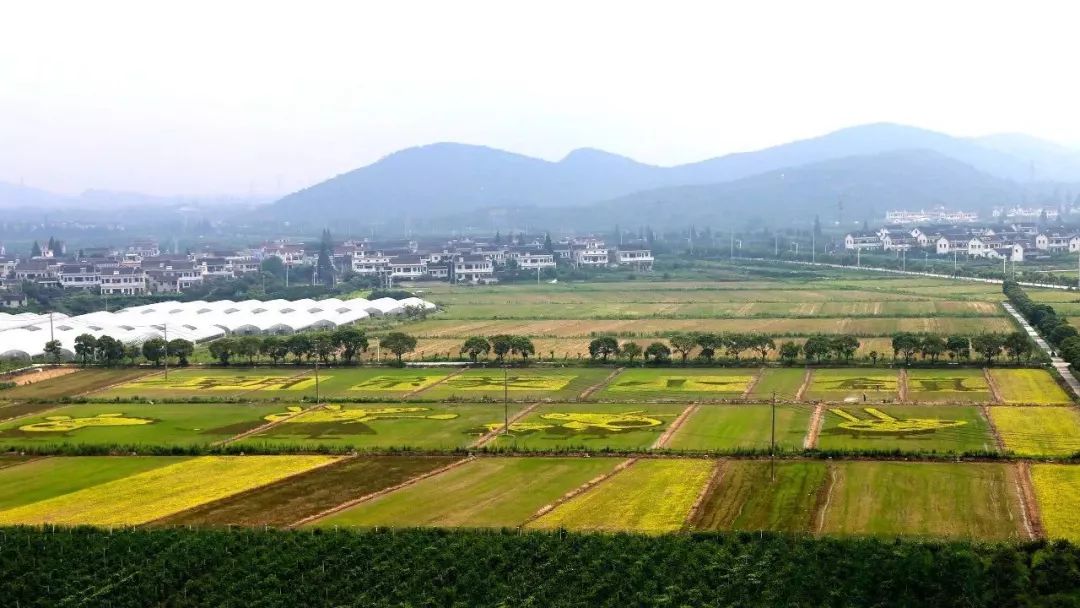 新时代文明传习空中课堂 尖山新区(黄湾镇)知行合一,传思想习理论