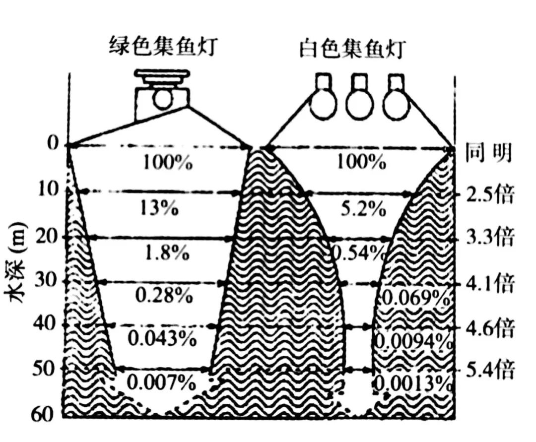 鱼层与水深分布图图片