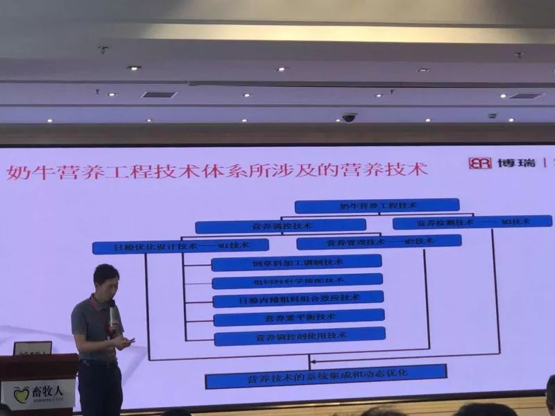 奶牛营养工程技术体系所涉及的营养技术甄玉国 吉林农业大学 吉林博瑞