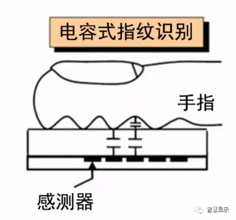 光學式vs超聲波誰將主導屏下指紋識別技術