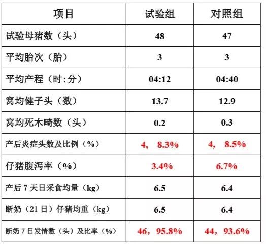 他家产房母猪夏天没压力,原来是干了这件事!