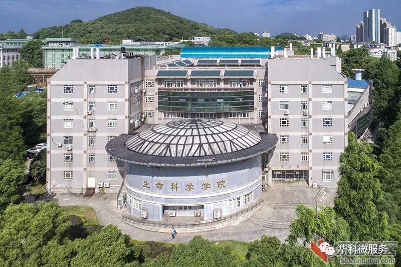 遥感学院办公楼曾院平摄影武汉大学行政办公大楼新修建的武汉大学牌坊