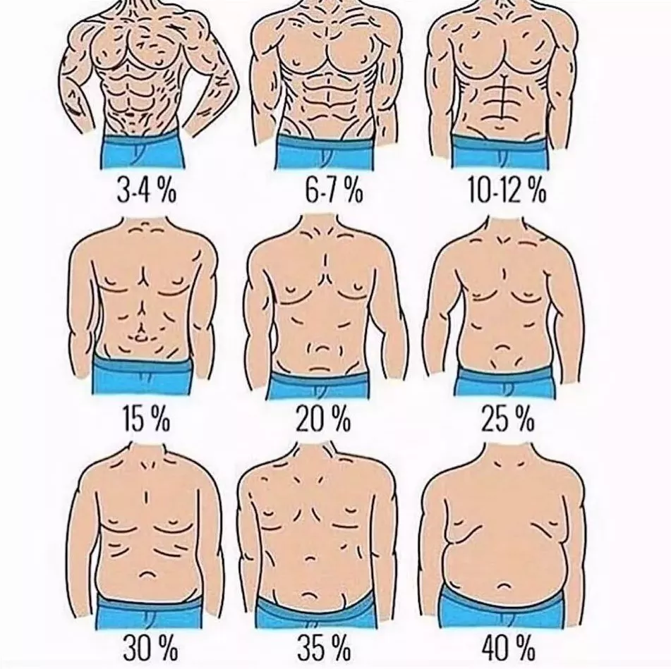 相扑运动员体脂率图片