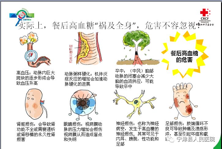 我們今天的《慢病健康知識》,和您談談餐後高血糖的危害與治療,希望