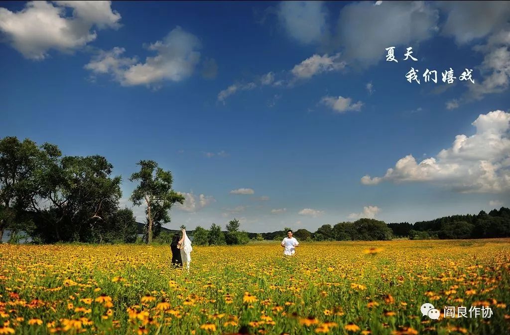 航城诗苑|同题诗《思念,在夏日驻足》