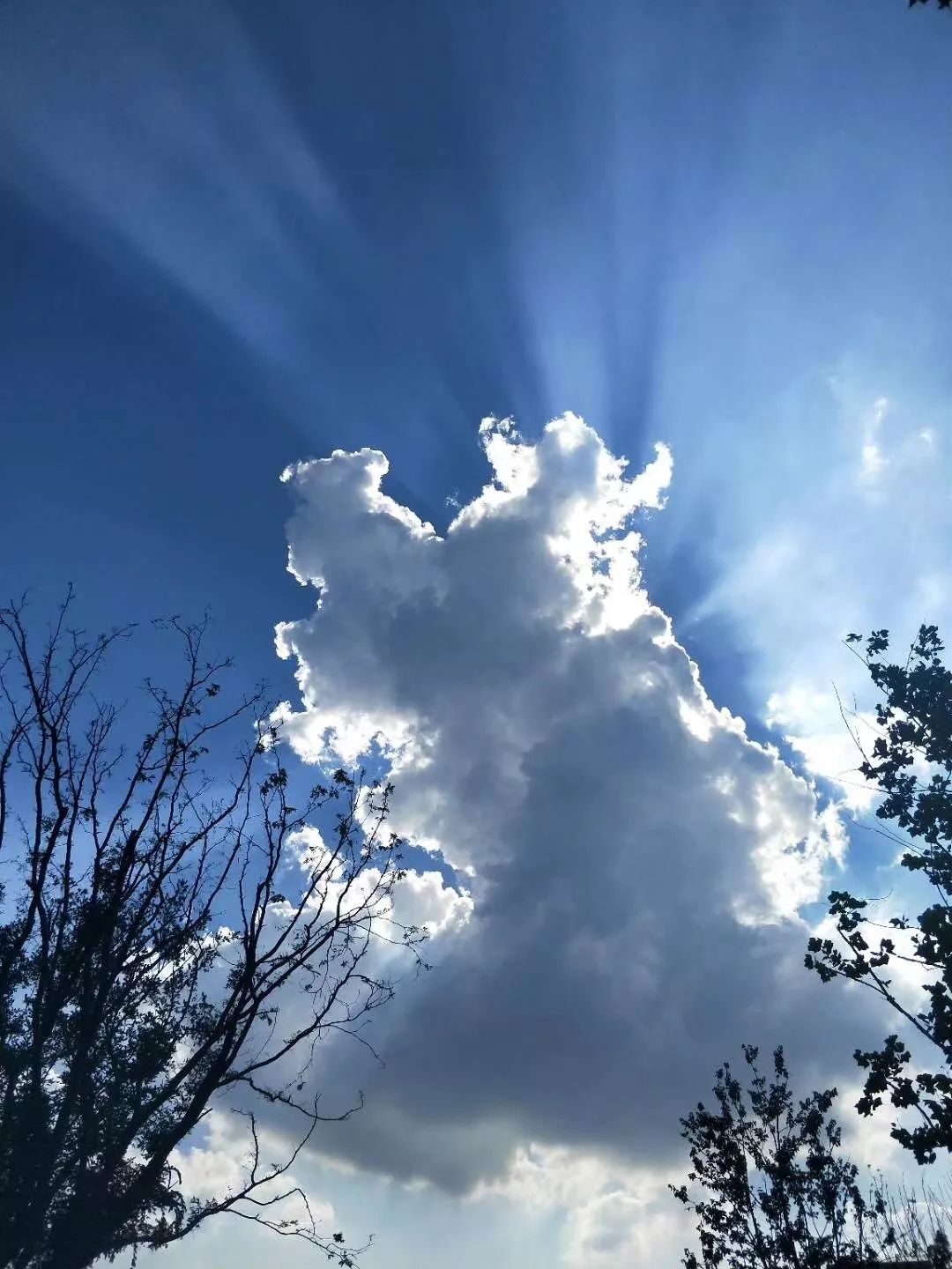 照耀整片大地前一秒陽光彷彿還能穿透葉片總讓人難以捉摸夏日的天氣雨