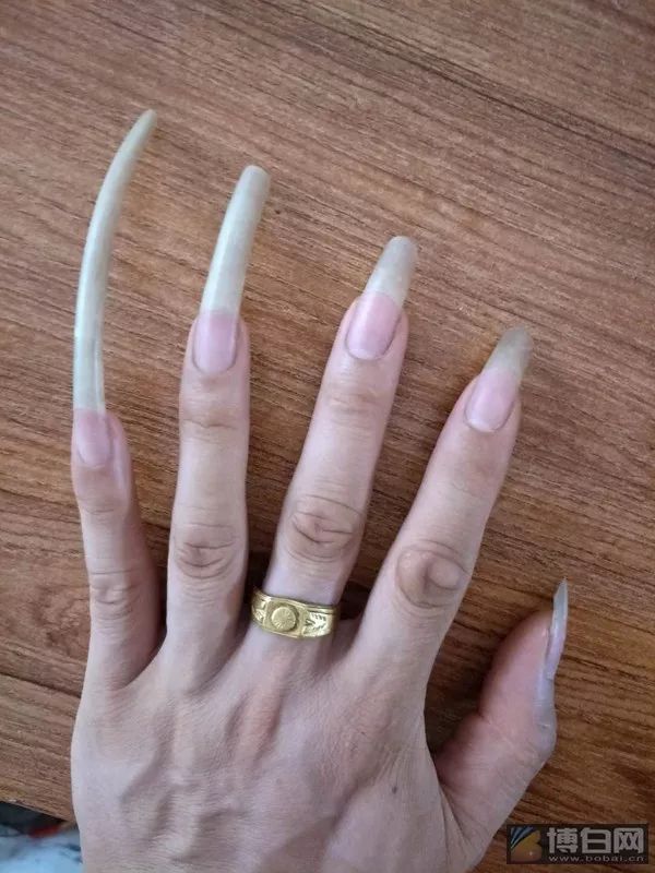 中国最长的指甲图片