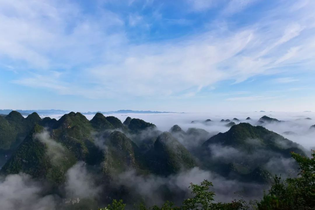 納雍金蟾大山·貴州公園東起姑開鄉合心村,南至金蟾大山頂峰,羊場鄉河