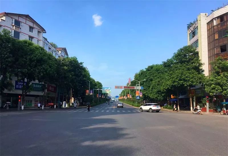 漂亮宜賓這個地方要大變濱水步道雨水花園櫻花大道還有