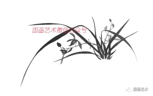 蔡公衡《梅兰竹菊画法大全》之兰花的画法