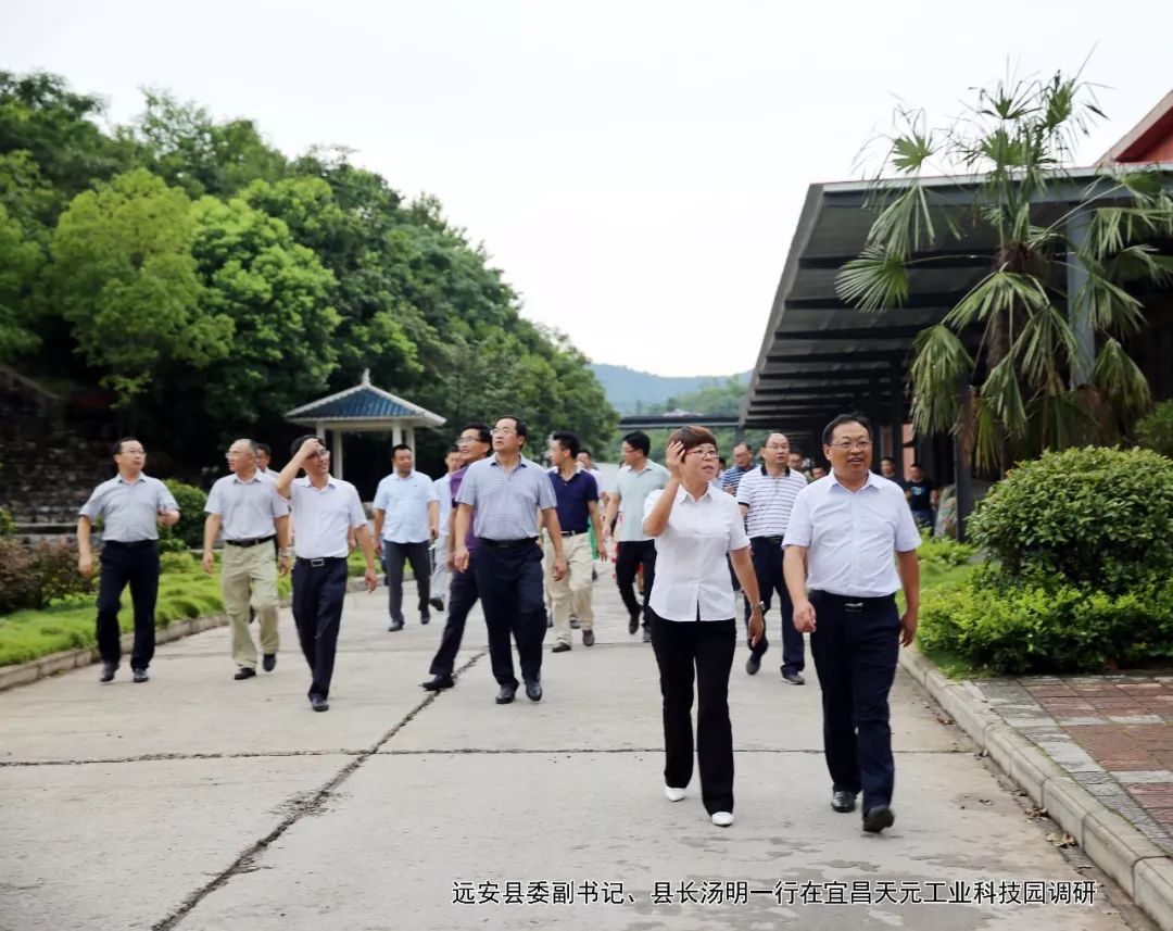 远安县高端网站建设_(远安县2021年十大项目)