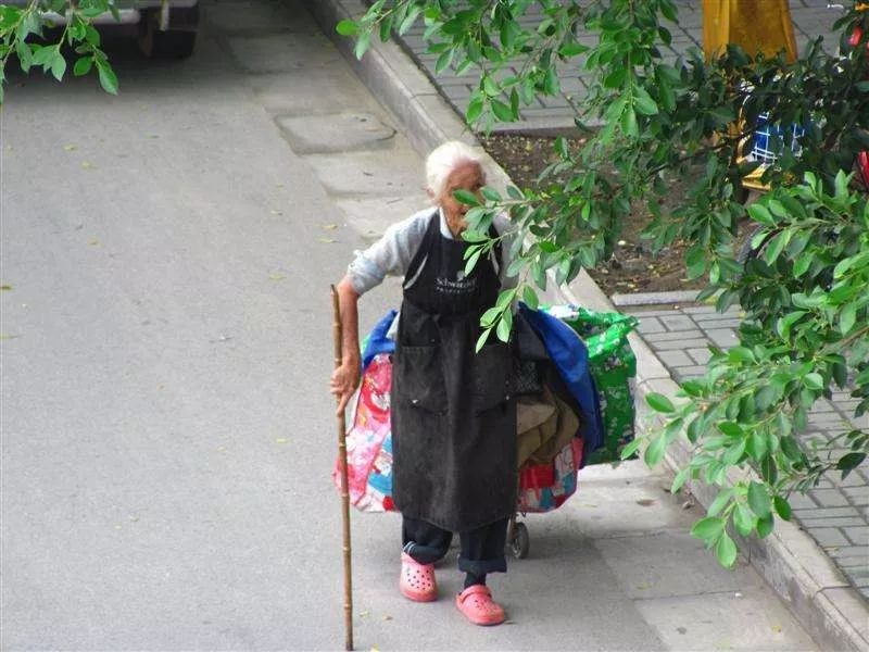 捡垃圾老婆婆图片