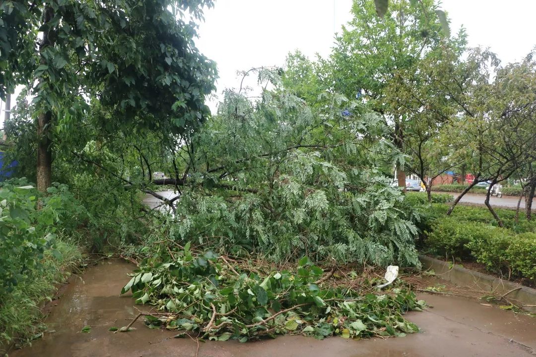 狂風暴雨襲擊鄂州部分地區連朋友圈都淹水了