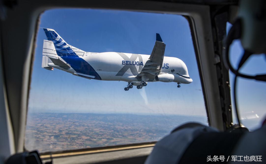 天空鲸鱼飞机图片