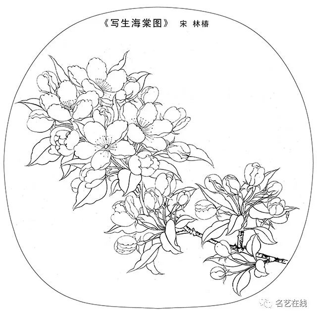 宋 桃花线稿图 实验室设备网