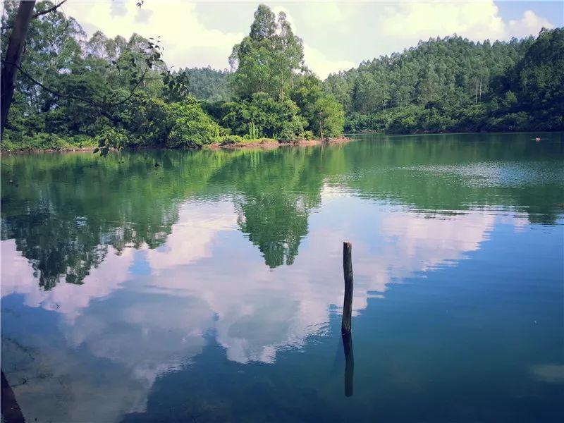 鹤山仙鹤湖度假山庄图片