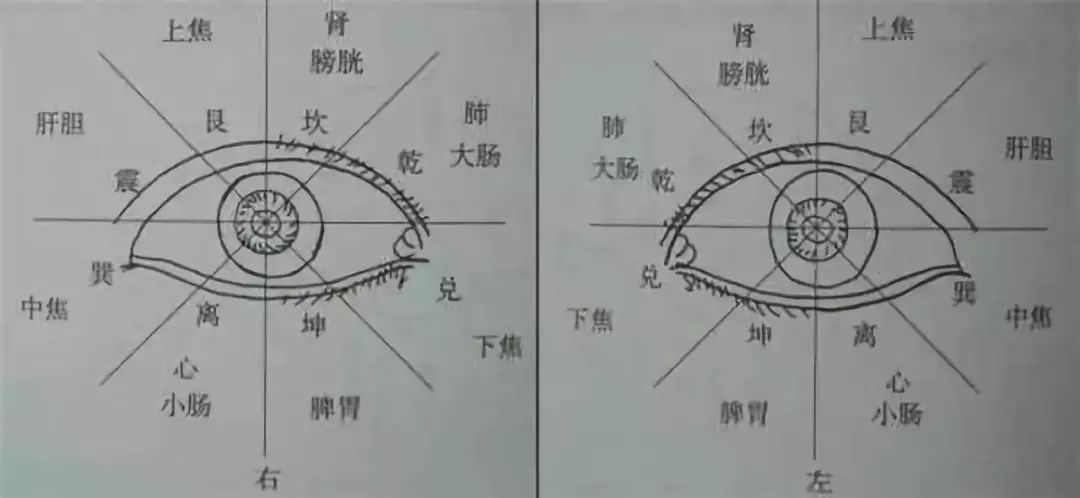 鼻诊图解大全清晰图图片