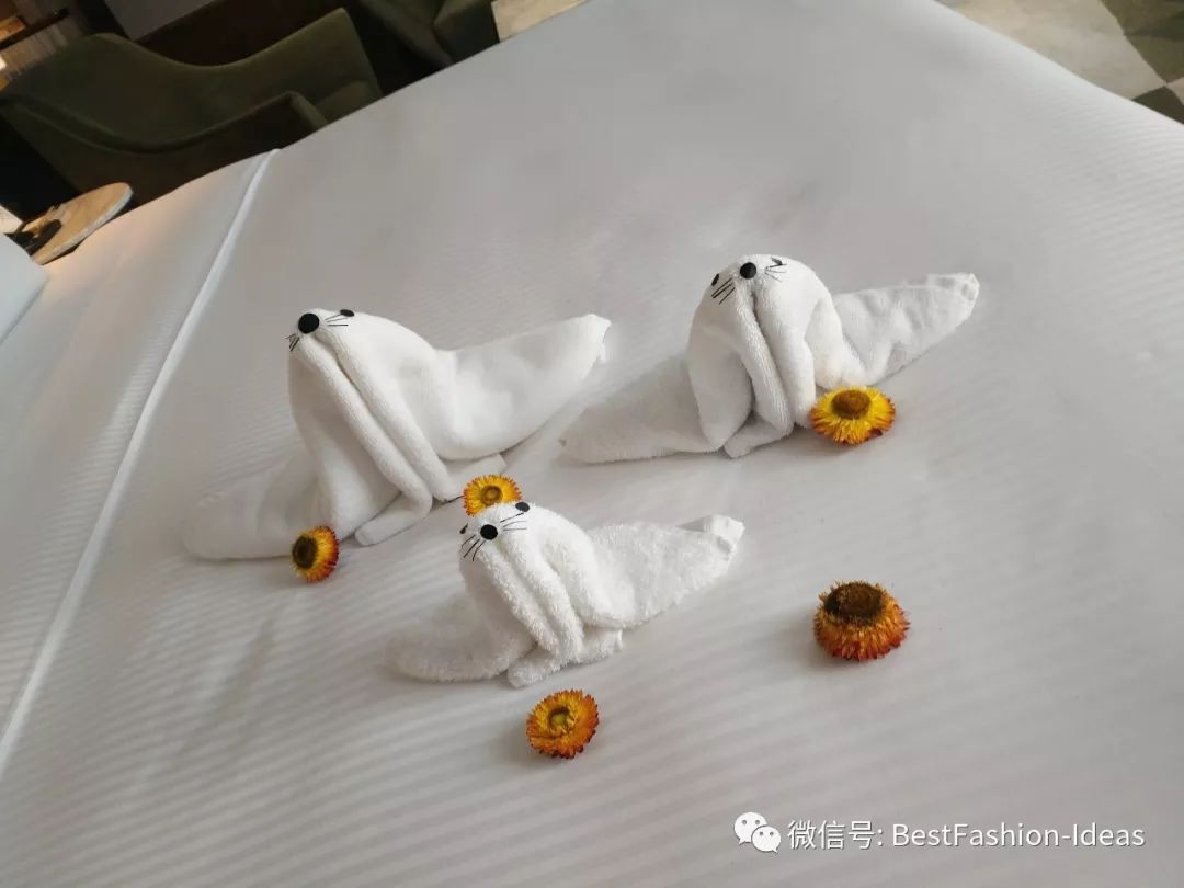 客房床上毛巾折花造型图片