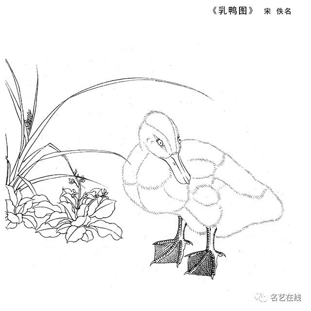 宋高清工筆畫小品白描稿40幅臨摹必備