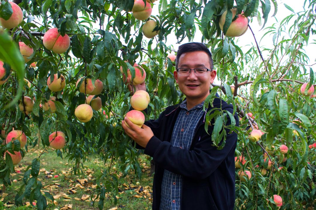 产地食材沂蒙山返乡支农守护生态果园