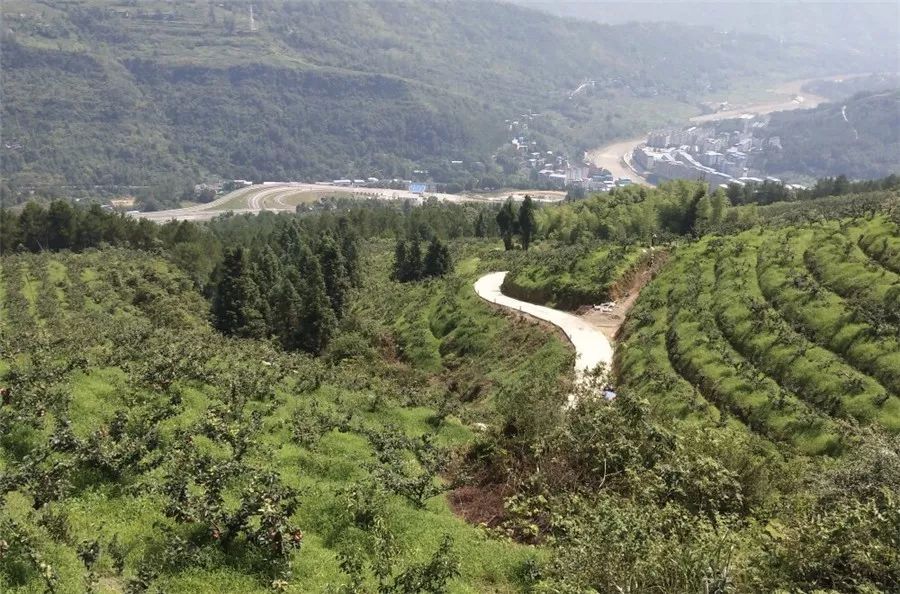 路线:城区—万川大道—长岭大道—恩广高速—龙驹