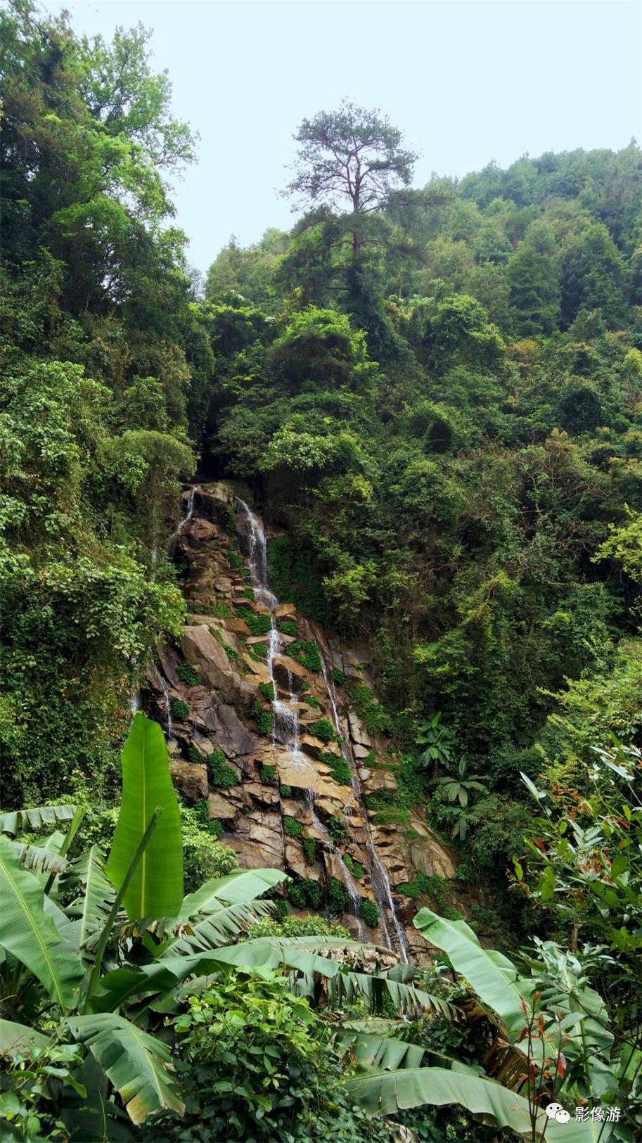 人蛇共舞盛夏时节去广西六万大山原生态山涧瀑布纳凉避暑