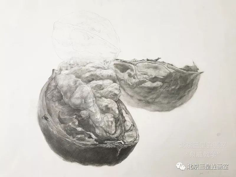 精微素描核桃高清图片图片