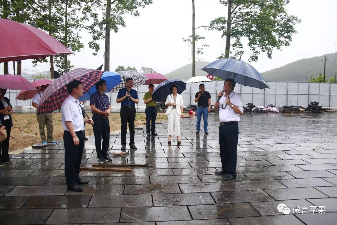 7月24日,德保縣委書記石永超,縣人民政府縣長陸蘭碧帶領德保縣黨政