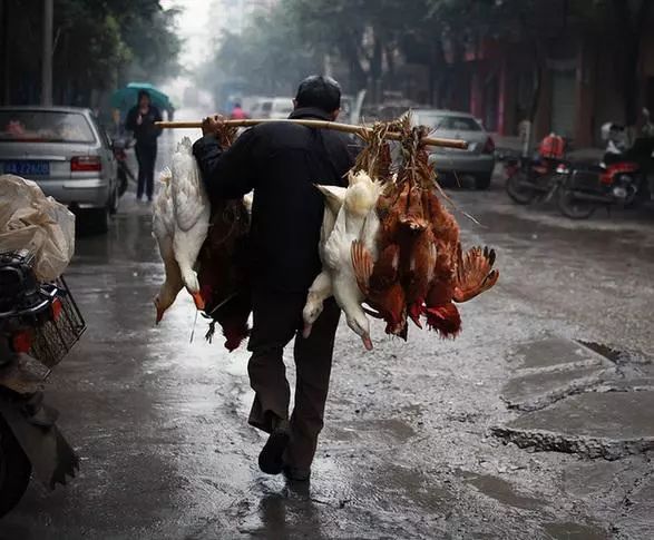 街头恶搞亲人图片