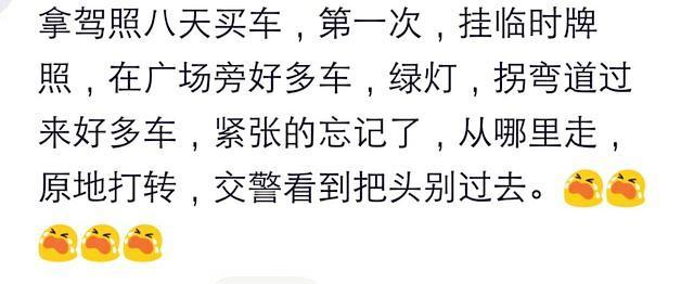 拿本后第一次上路开车是什么体验网友外星体验了解一下吗