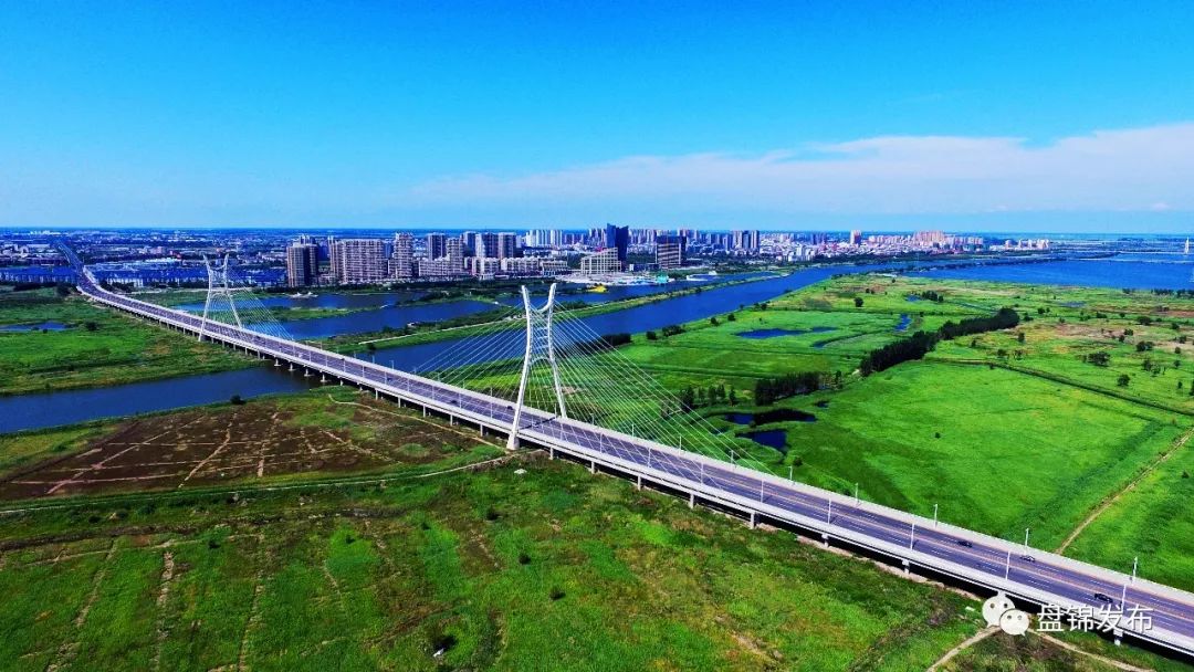 2016年7月,緊挨著雙興路盤錦原大橋的東側又一座林豐路大橋正式通車