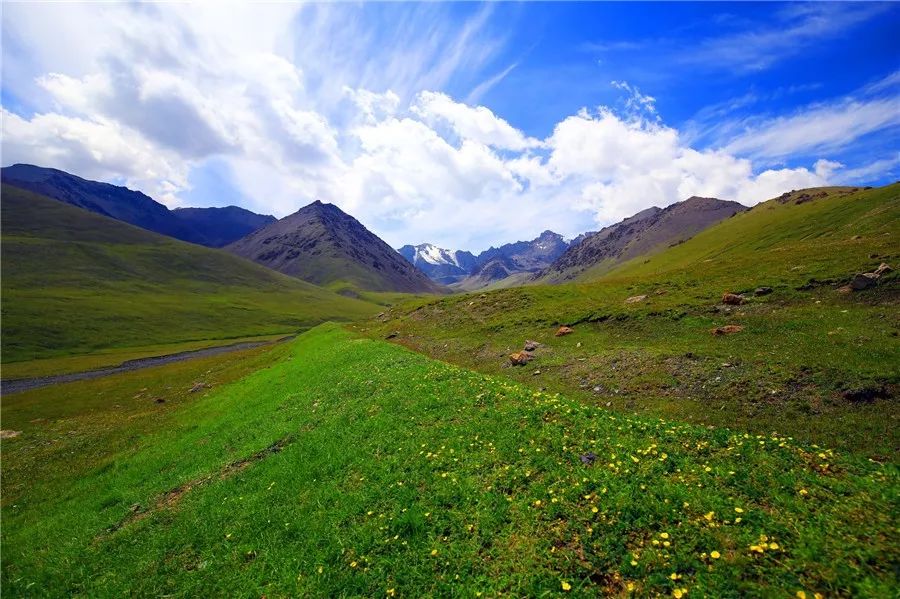 天然氧吧避暑勝地托克遜黑山草原