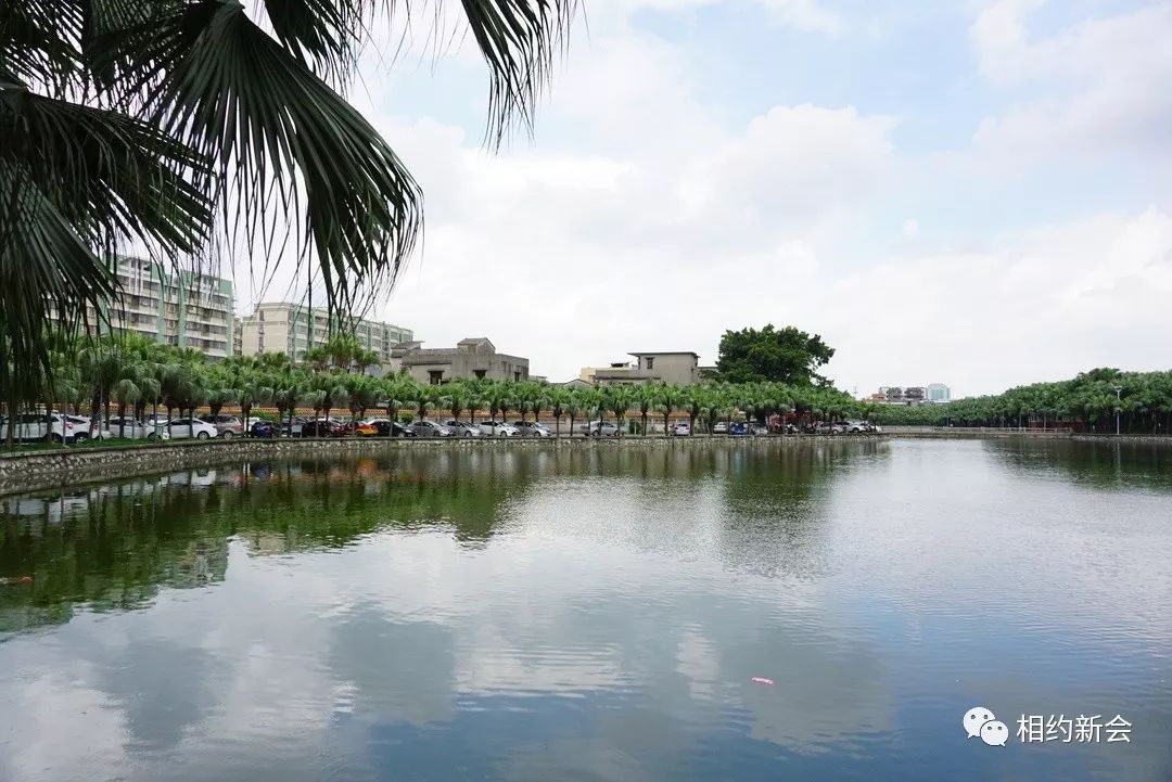 新會區一個個公園美麗蛻變有你常去的嗎