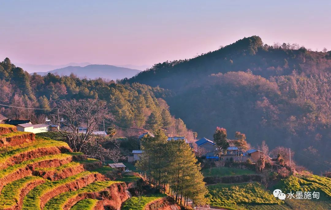 大亮山林场图片图片