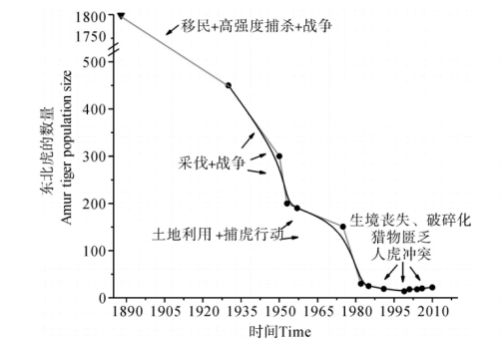 东北虎数量变化统计图图片