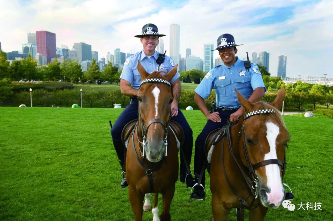 土耳其骑警图片