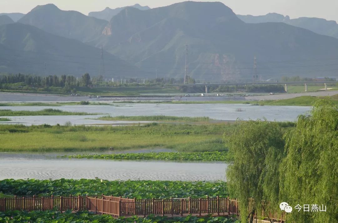 房山大石河湿地公园图片