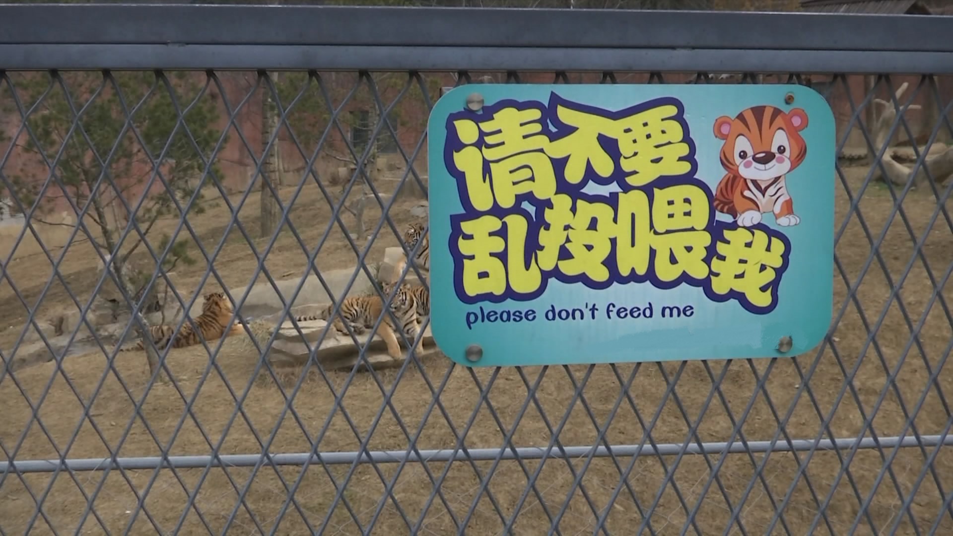 游客在动物园内自带食物投喂动物是被明令禁止的行为,园方为此专门设