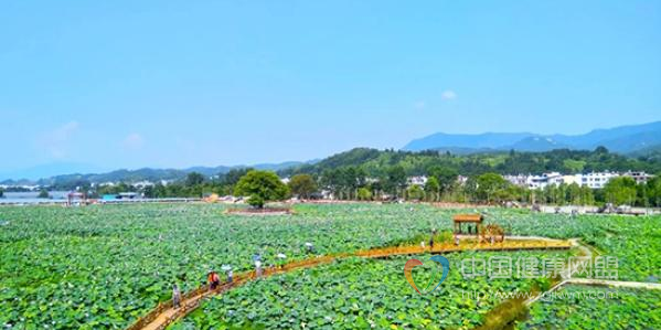 2018年7月21日首届荷花文化旅游节在崇义县龙勾乡开幕!