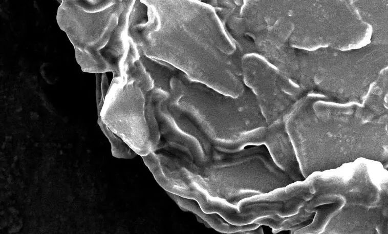 来看一下电子显微镜下头皮屑的图片,如下这是1个示意图,右边毛发间