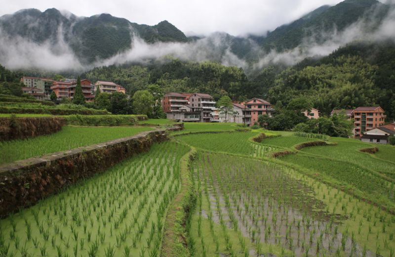 青田方山谷图片