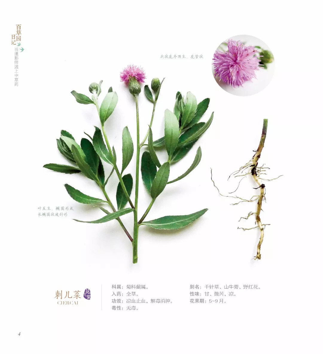 中醫只坐在家裡看書,不認識藥用植物怎麼行!