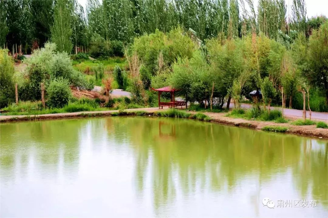 上海果园镇图片