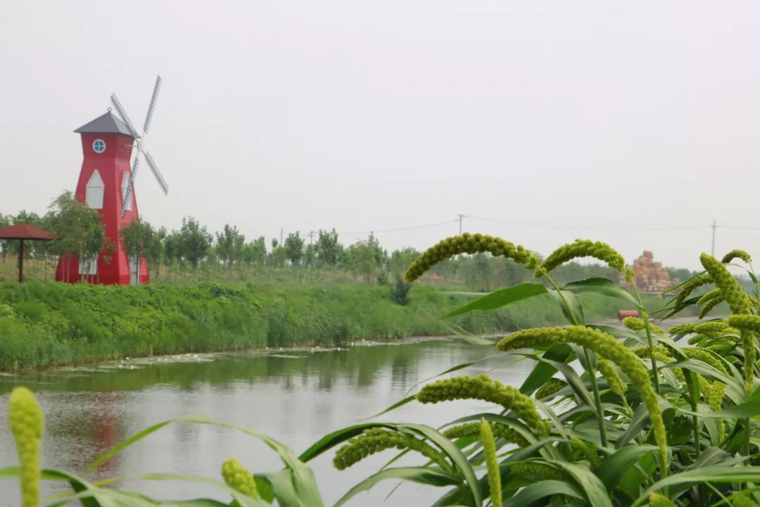 壽光人又多一個好玩的地方:綠帶景廊織女河