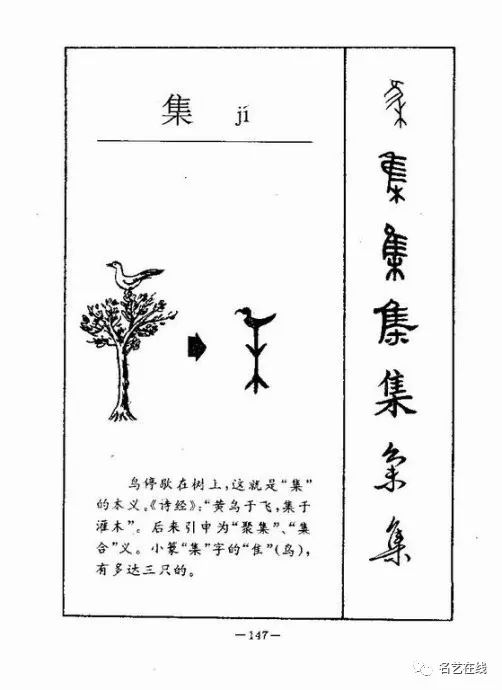 漢字演變6000年的成長軌跡集萃大全收藏備用