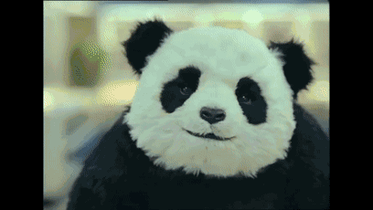 那只又贱又暴力的熊猫居然是一款panda奶酪的广告