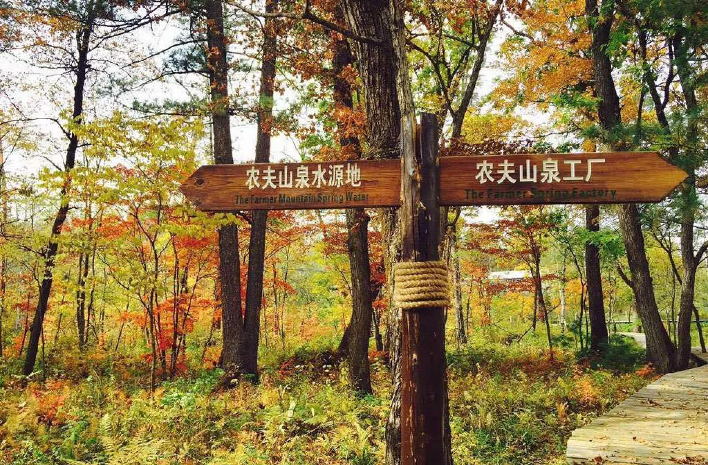 农夫山泉在哪里上市 (农夫山泉在哪里取水)