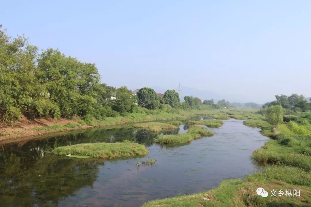 大美文乡图说故乡的杨市河白荡湖