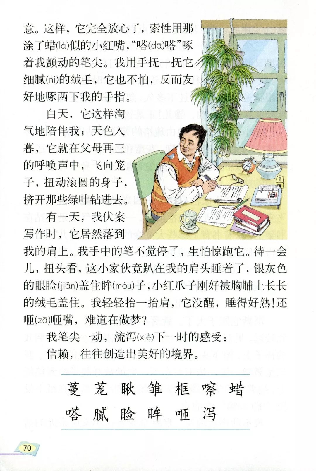 珍珠鸟课文原文人教版图片