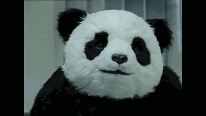 那只又贱又暴力的熊猫居然是一款panda奶酪的广告